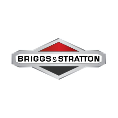 Briggs & Stratton